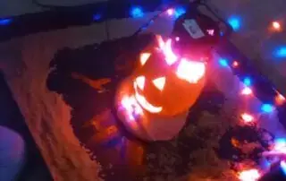 halloween_1_40936
