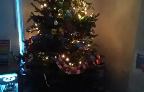 Christmas_5_84103